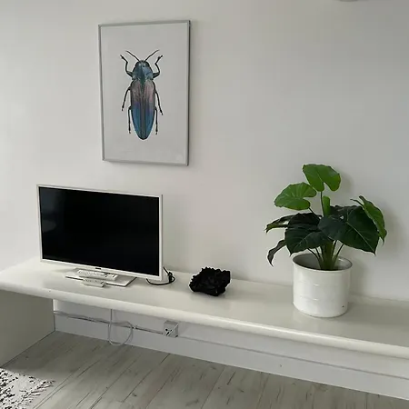 Gegenueber Vom Kurhaus Appartamento *