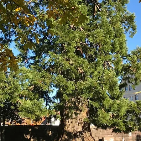 Gegenueber Vom Kurhaus Appartamento